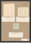 Pleurosigma var. peisonis Grun. (de-Toni-Nr.: Genus 13, Species 1076) Zeichnungen Sammlung Grunow Nr. 1976 (NHMW-BOT-W0369122)